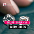 1:1 Workshop (1 day)